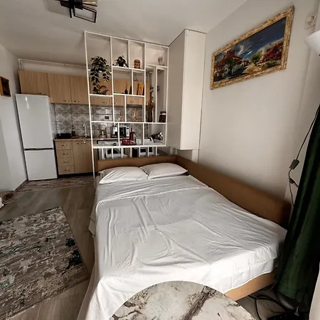 Apartment The Velvet *