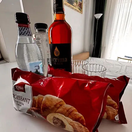 Апартаменты The Velvet Бухарест