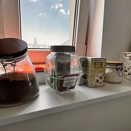 The Velvet * Boekarest