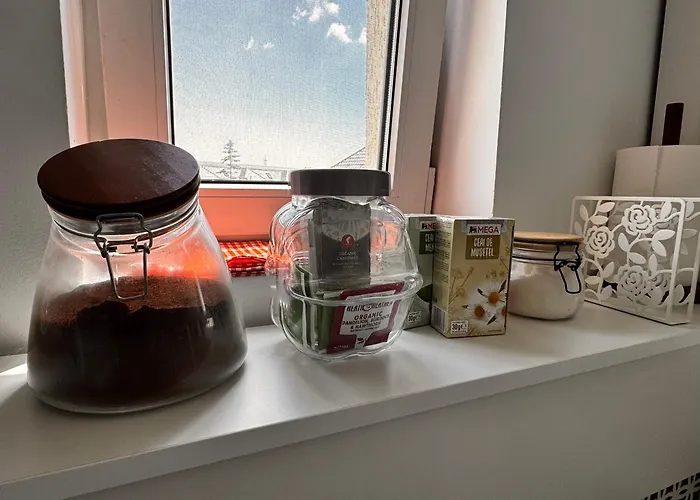 The Velvet * Бухарест